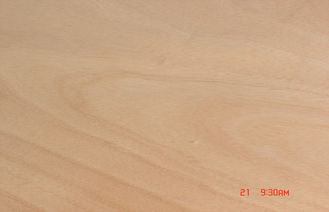 প্রাকৃতিক হলুদ Okoume ব্যহ্যাবরণ, 0.20 মিমি - 0.60 মিমি ঘূর্ণমান কাটা ব্যহ্যাবরণ