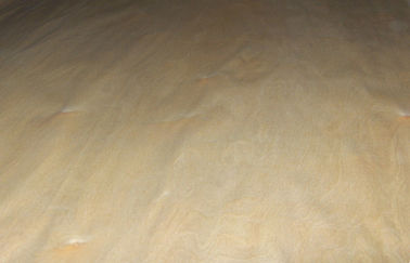 প্রকৃতি ম্যাপেল Birch কাঠ ব্যহ্যাবরণ কাটা কাটা, শক্ত কাঠের ব্যহ্যাবরণ শীট