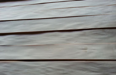 ক্রাউন কাটা শস্য সঙ্গে আলংকারিক প্রাকৃতিক Birch ব্যহ্যাবরণ পাতলা পাতলা কাঠ