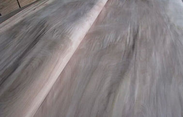 প্রাকৃতিক ঘূর্ণমান কাটা Birch কাটন কাঠের ব্যহ্যাবরণ আসবাবপত্র জন্য একটি গ্রেড