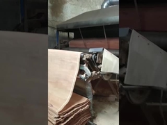 প্রাকৃতিক কাঠ PLB রোটারি কাট ব্যহ্যাবরণ শীট