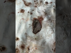ম্যাপা বুরল ভিনিয়ার
