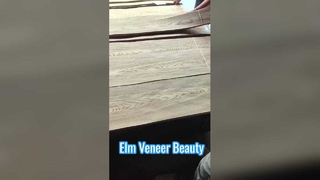 এলম ক্রাউন কাটা ব্যহ্যাবরণ