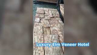 মাপ্পা ব্যহ্যাবরণ