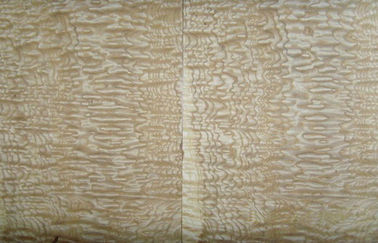 হলুদ অ্যাশ Burl কাঠ ব্যহ্যাবরণ, 0.50 মিমি বেধ প্রাকৃতিক কাঠ ব্যহ্যাবরণ