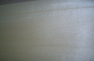 কাটা হোয়াইট Birch কাঠ ব্যহ্যাবরণ 0.5 মিমি বেধ সঙ্গে prefinished