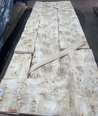 প্রাকৃতিক কাটা পপলার Burl ফিনিস শীট একটি গ্রেড আসবাবপত্র প্রসাধন জন্য