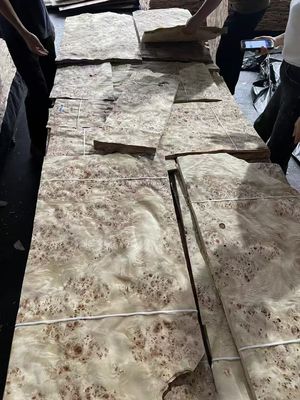 আসবাবপত্র সজ্জা জন্য উচ্চ মানের Mappa Burl ভিনিয়ার শীট