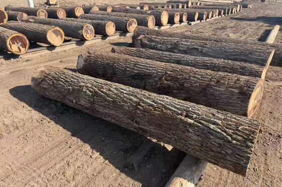 0.2-0.6 মিমি বেধ এবং 1220 মিমি পর্যন্ত প্রস্থের মুদি এবং সজ্জা জন্য মুকুট শস্য প্যাটার্নের সাথে ওক ভিনিয়ার শীট