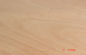 রোটারি কাটা 0.2 মিমি - 0.6 মিমি Okoume ব্যহ্যাবরণ হলুদ জন্য আসবাবপত্র