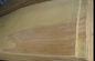 এমডিএফ, চিপবোর্ড এবং ব্লক বোর্ডের জন্য প্রাকৃতিক রোটারি কাট বার্চ ভেনের